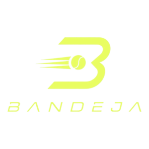 bandeja-paddle.com